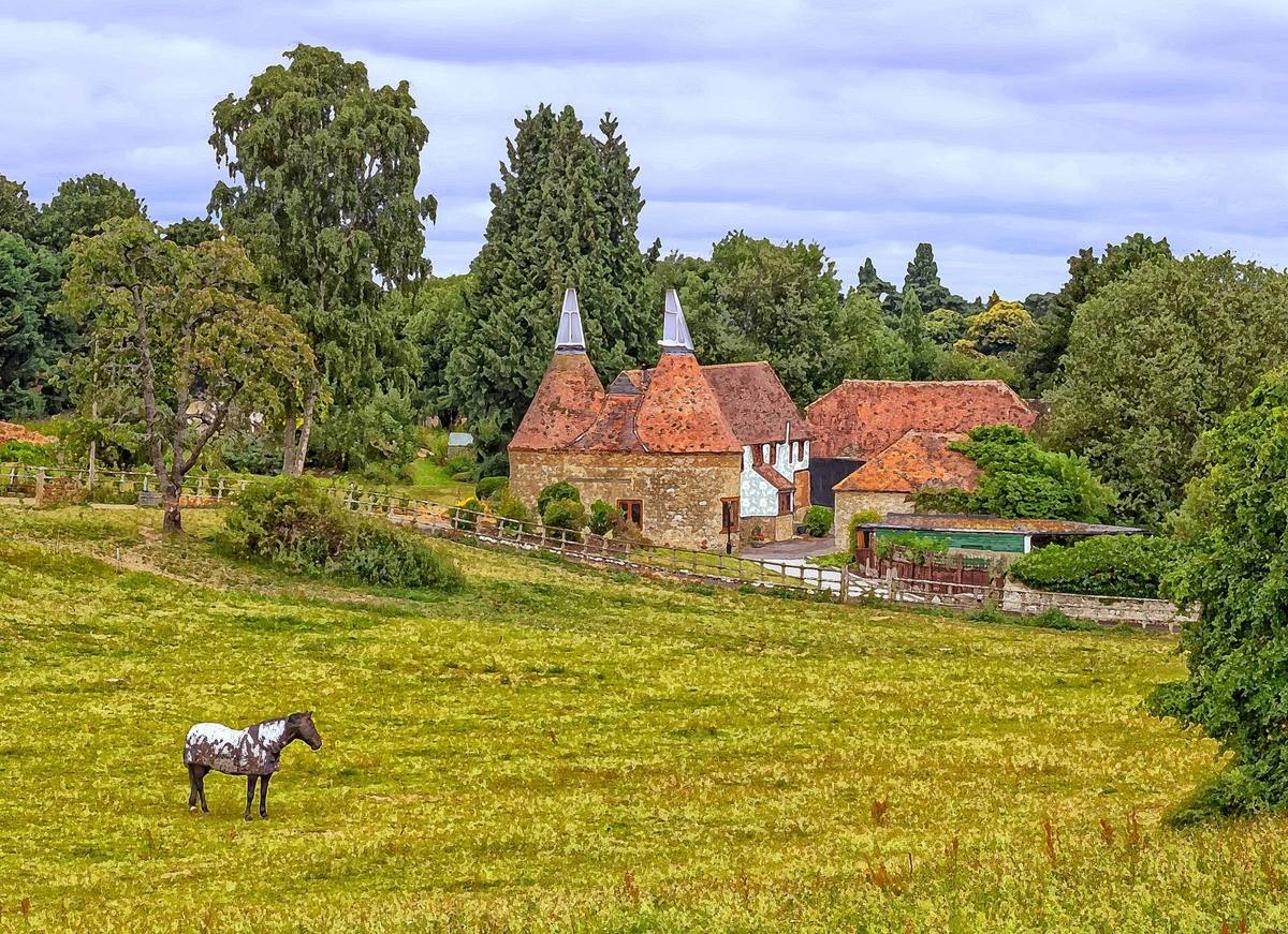 Traditional Kent oast houses with white cowls beside a paddock and grazing horse